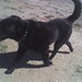 Joe Chavez Photo 6