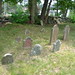 Katherine Niles Photo 10