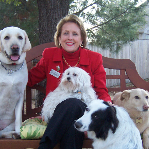 Nancy Higgins Photo 15