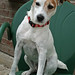 Darla Sharp Photo 4