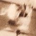 Harry Culp Photo 9