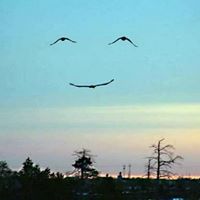 Sandra Stanbrough Photo 1