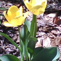 Jimmy Keith Photo 18