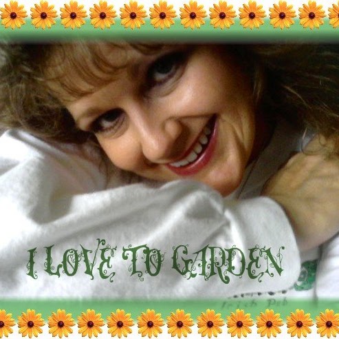 Kelly Robbins Photo 22