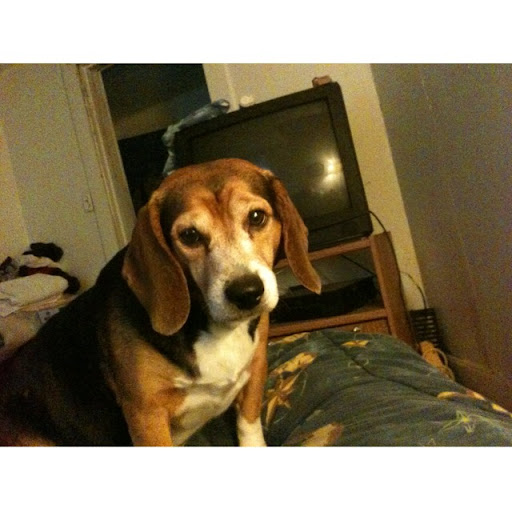 Julie Burdette Photo 5