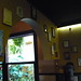 Robert Apolinario Photo 12