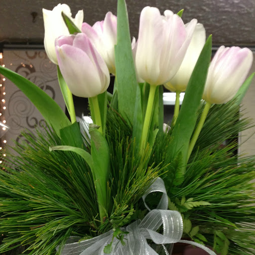 Nancy Farrell Photo 28