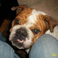 Anthony Valenti Photo 22