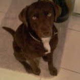 Joseph Dean Photo 16