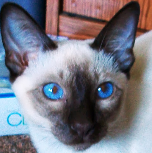 Christine Carpenter Photo 11