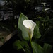 Laura Ott Photo 38