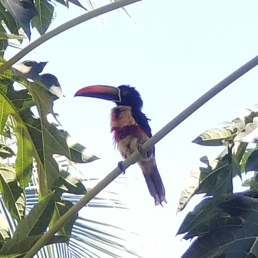 Eric Chavarria Photo 5