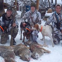 Derek Rollins Photo 16