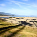 Barbara Strand Photo 14