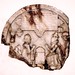 Thomas Bartram Photo 8