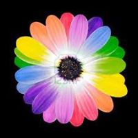 Angel Spencer Photo 18