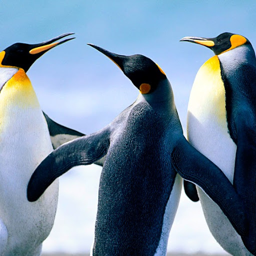 Tina Watkins Photo 12