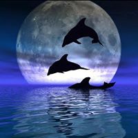 Rose Preston Photo 15