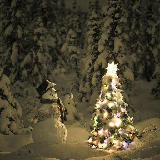 Mark Boyd Photo 41 Mark Boyd Photo 41