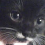 Lynda Robinson Photo 19 Lynda Robinson Photo 19