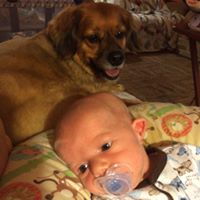 Terry Jenkins Photo 41 Terry Jenkins Photo 41