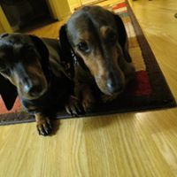 Nancy Schafer Photo 21