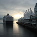 Dawn Holland Photo 13