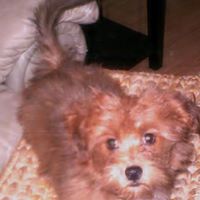 Angela Bigelow Photo 4