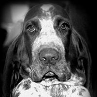 Susan Askeland Photo 2