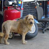 Robert Seaver Photo 23