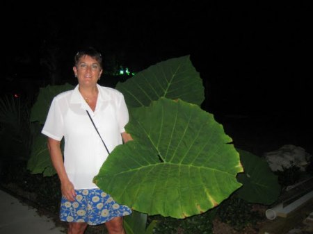 Jodi Goodrich Photo 8