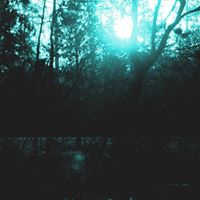 Randy Scott Photo 46