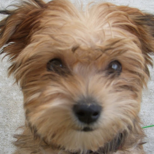 Jennifer Hanner Photo 14