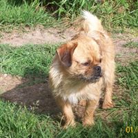 Carol Farrar Photo 20