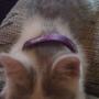 Jennifer Mcclain Photo 25