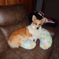 Tonya Wagner Photo 35