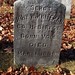 John Whiteman Photo 37
