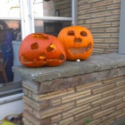 Allan Stephenson Photo 10