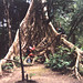 Jon Horner Photo 5