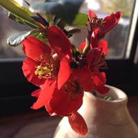 Robin Bonner Photo 13