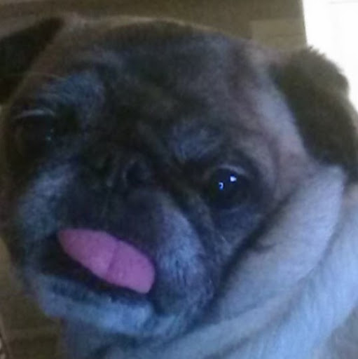 John Cheatham Photo 15