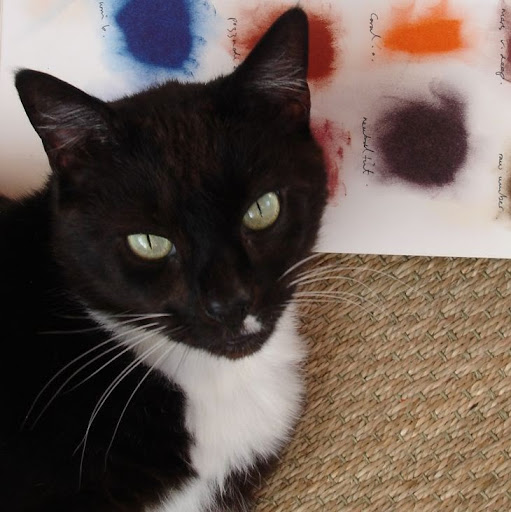 Jon Vaughan Photo 11