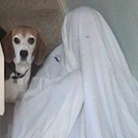 Bobby Fitzpatrick Photo 17