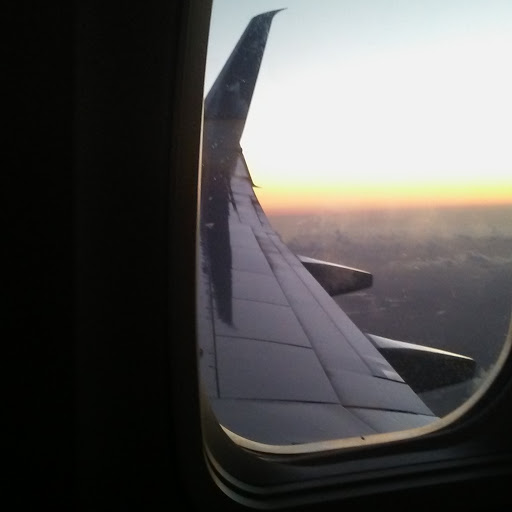 Deanna Jackson Photo 33