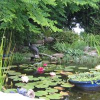 Janice Rhodes Photo 12