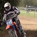 Alton Phipps Photo 5