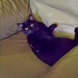 Anita Cunningham Photo 13