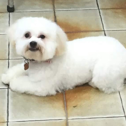 John Eldridge Photo 14 John Eldridge Photo 14