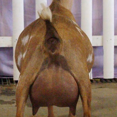 Justin Butts Photo 28