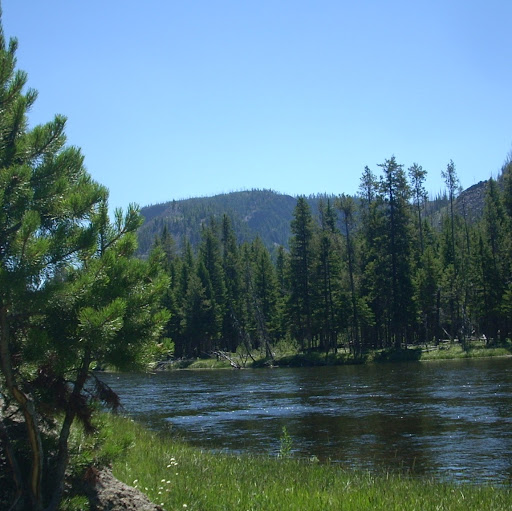 Anne Wagner Photo 29 Anne Wagner Photo 29